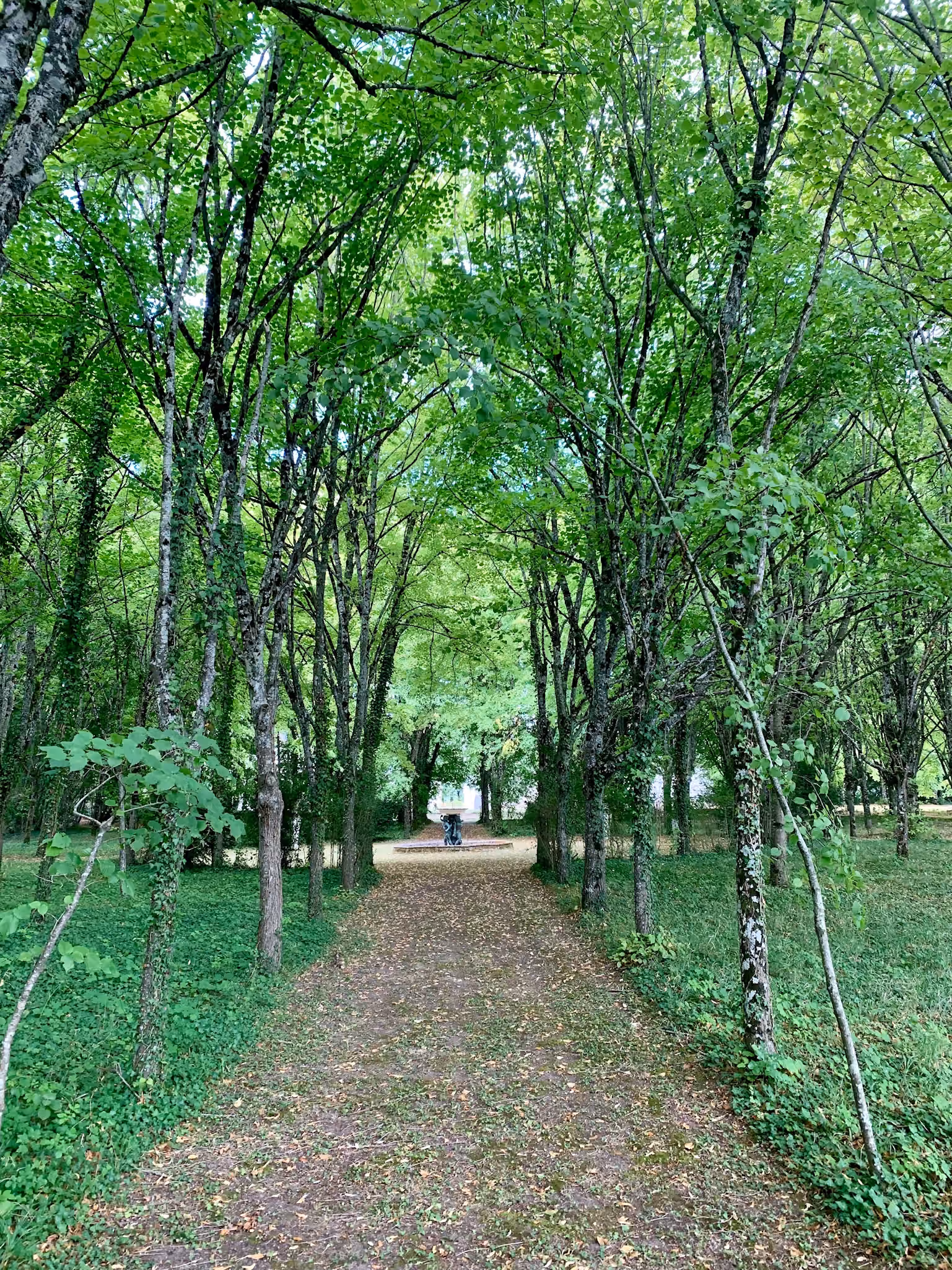 Allée sablée sous une voûte d'arbres menant à un bassin orné d'une statue