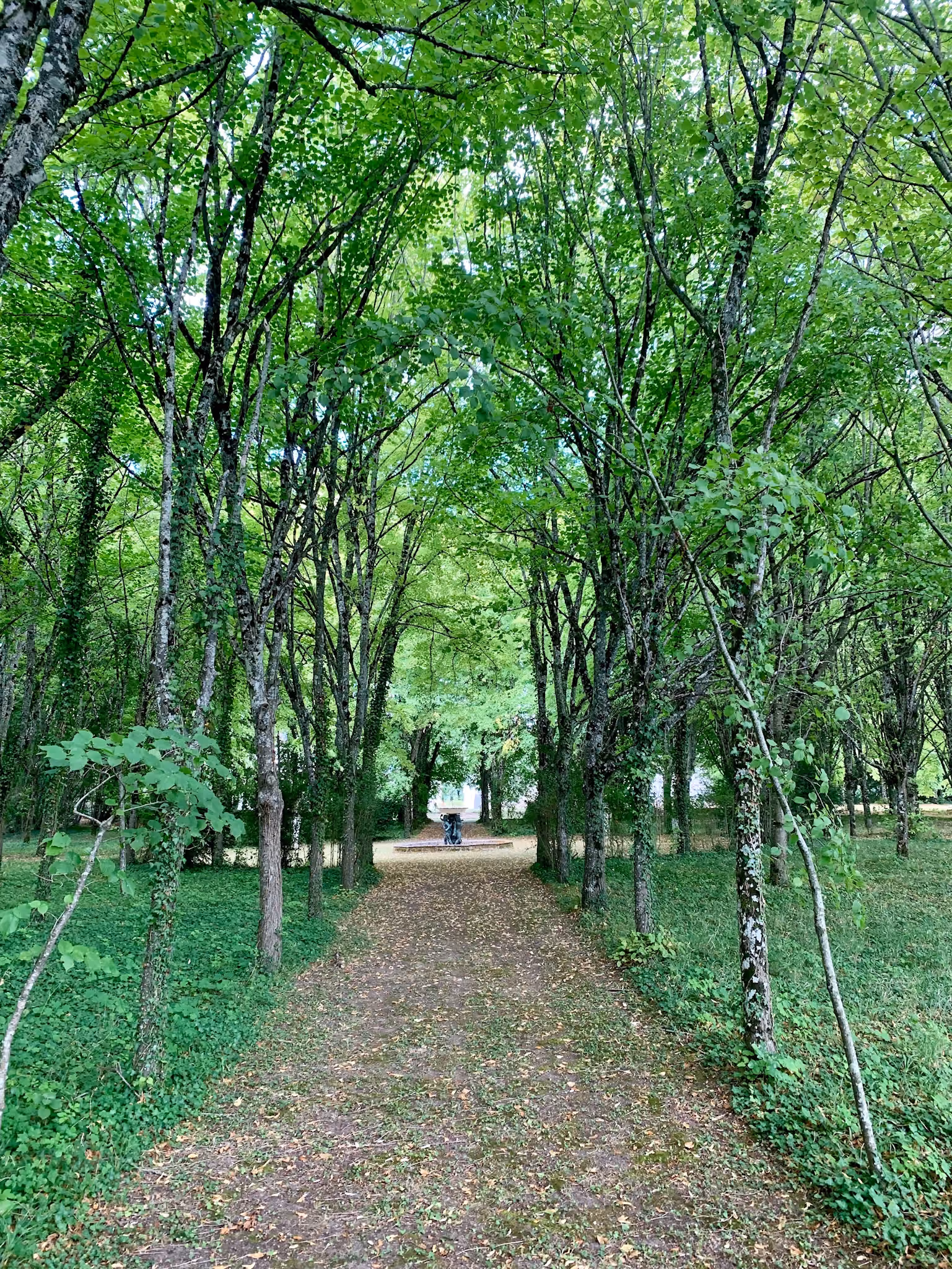 Allée sablée sous une voûte d'arbres menant à un bassin orné d'une statue