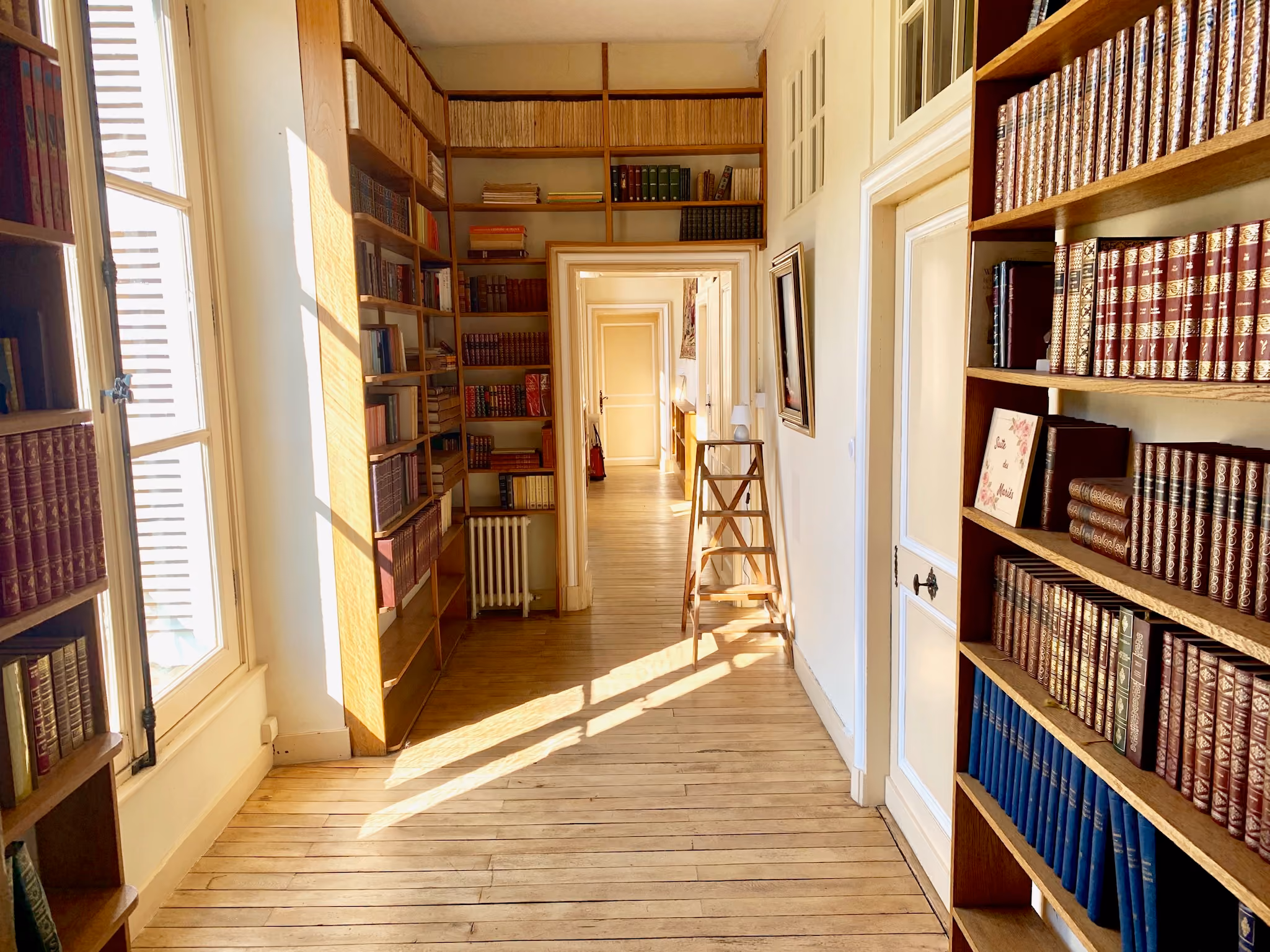Couloir tapissé de rayonnages de livres reliés baigné par la lumière du matin