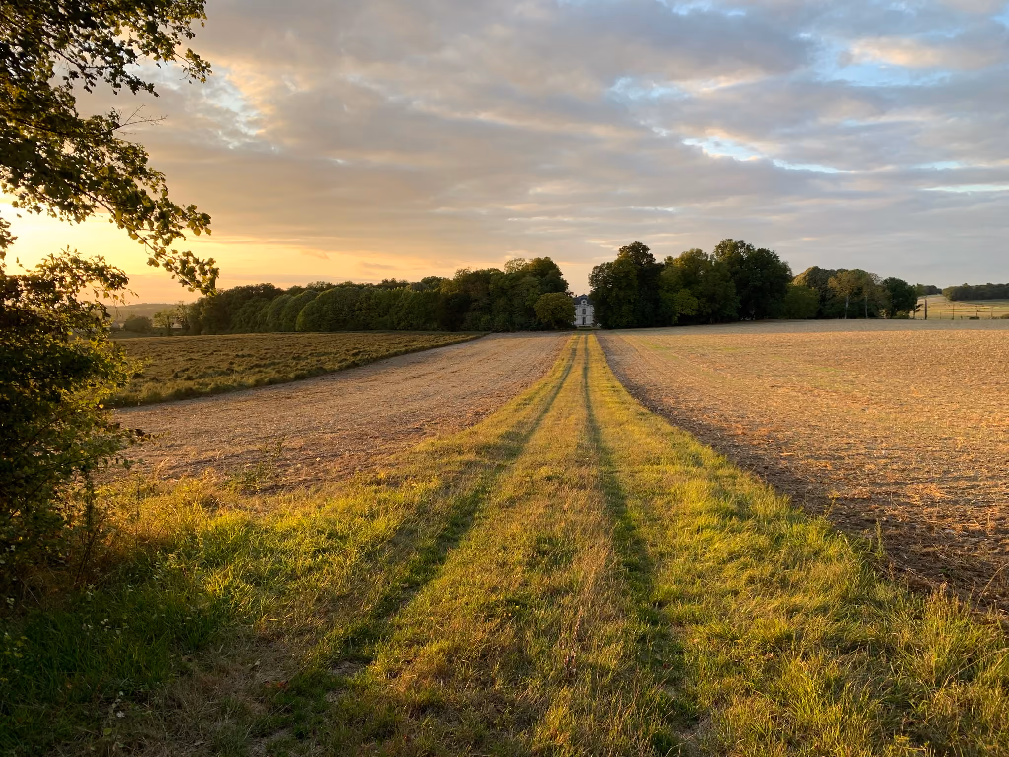 Le château aperçu au loin au-dessus des bois depuis un chemin de campagne au couchant