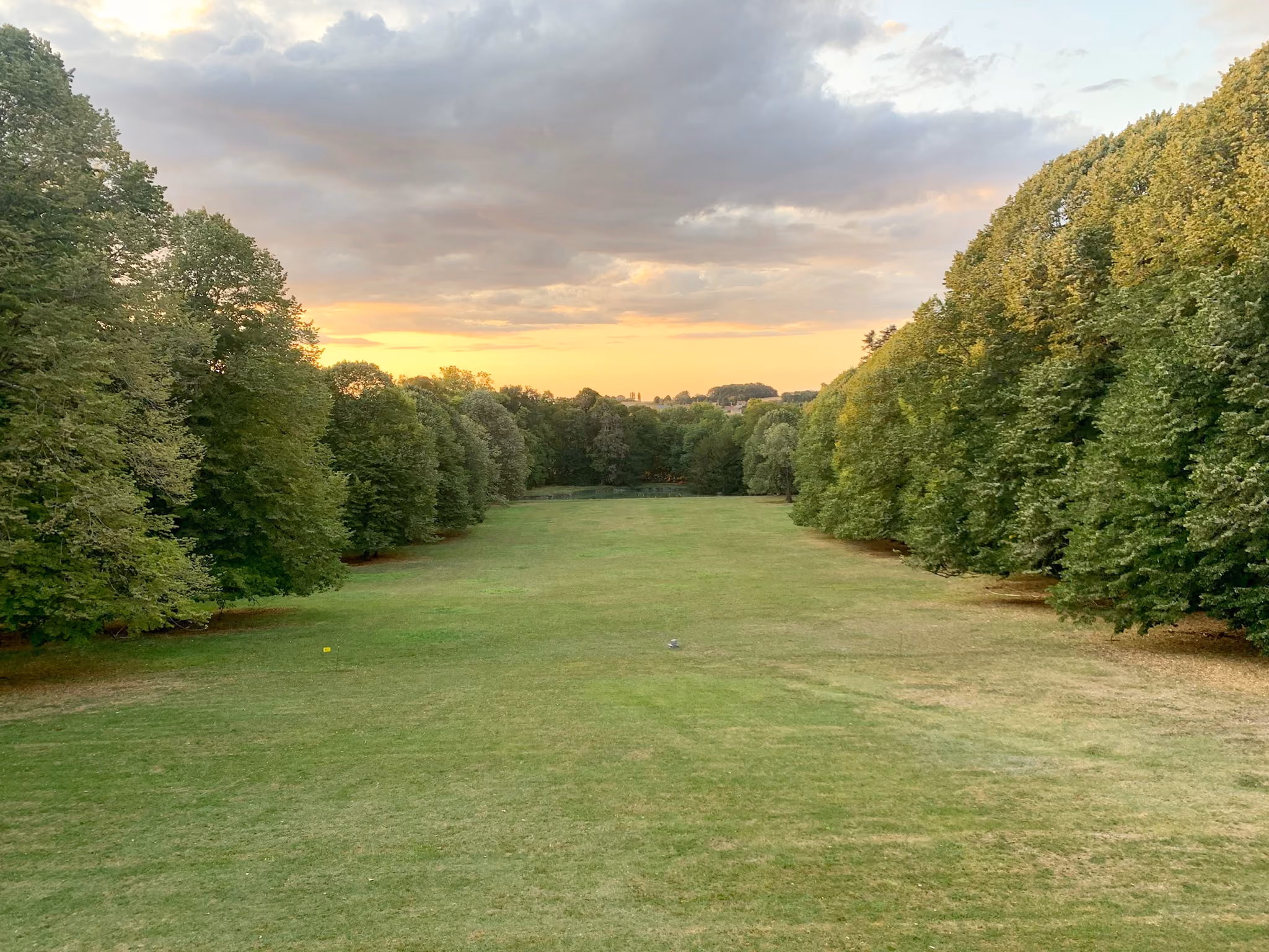 Longue perspective de pelouse bordée d'arbres centenaires au coucher du soleil
