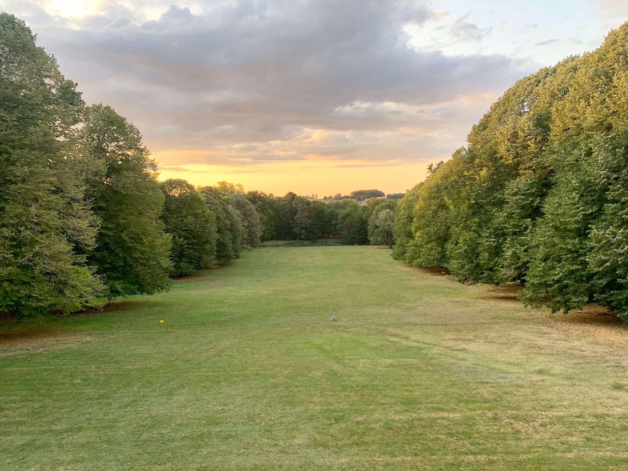 Grande perspective de pelouse bordée d’arbres centenaires dans le parc du domaine