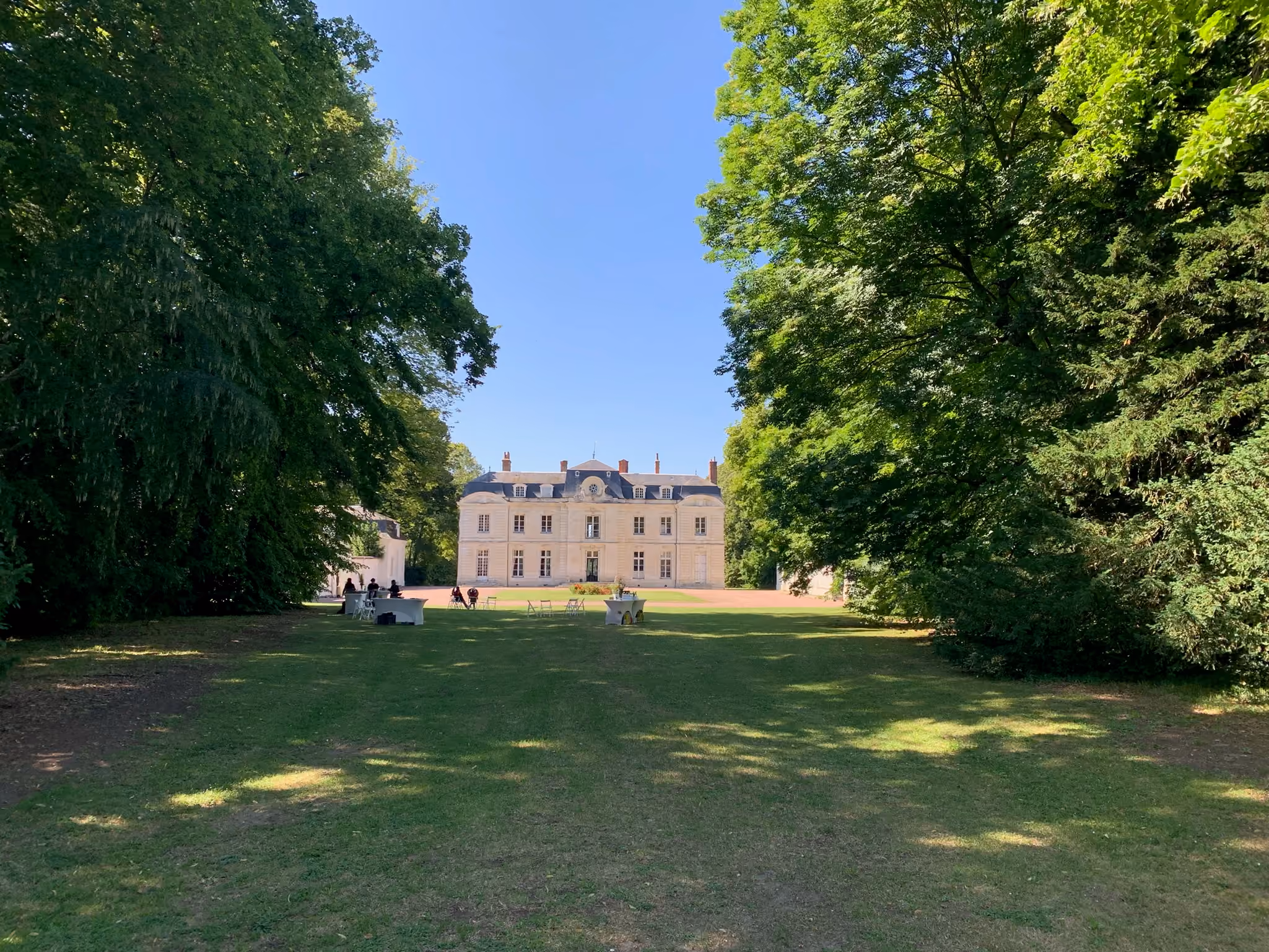 Perspective de la grande pelouse bordée d'arbres centenaires menant au château