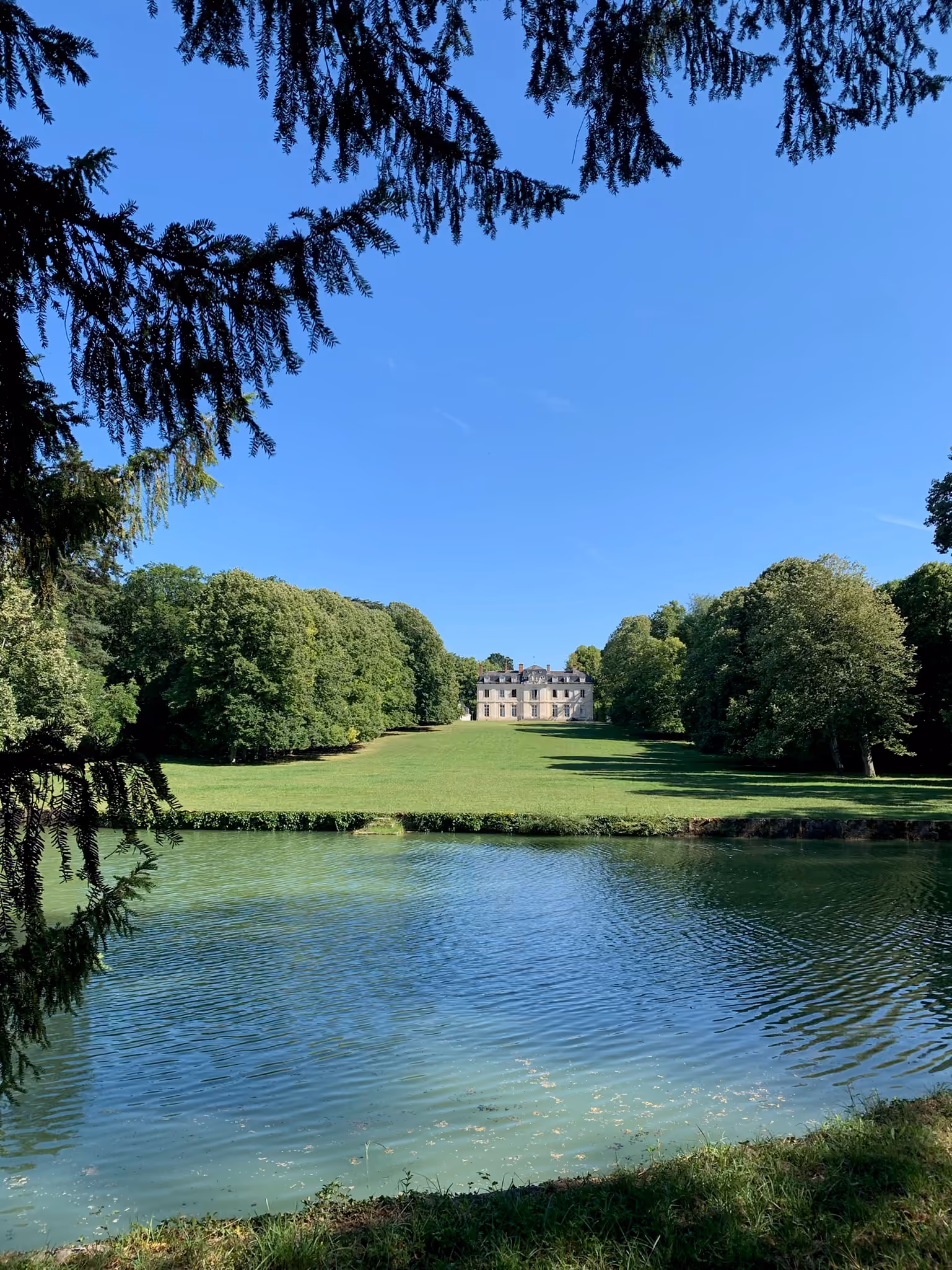 Pièce d'eau du parc et pelouse remontant vers le château, encadrées par les branches d'un cèdre